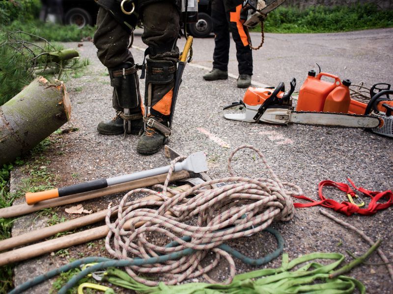<strong>Quanti tipi di potatura ci sono?</strong>
