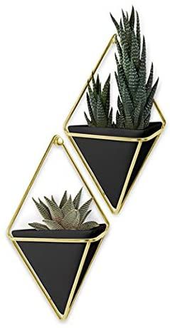 Umbra Trigg Espositore da parete, Set di 2, Nero/ottone