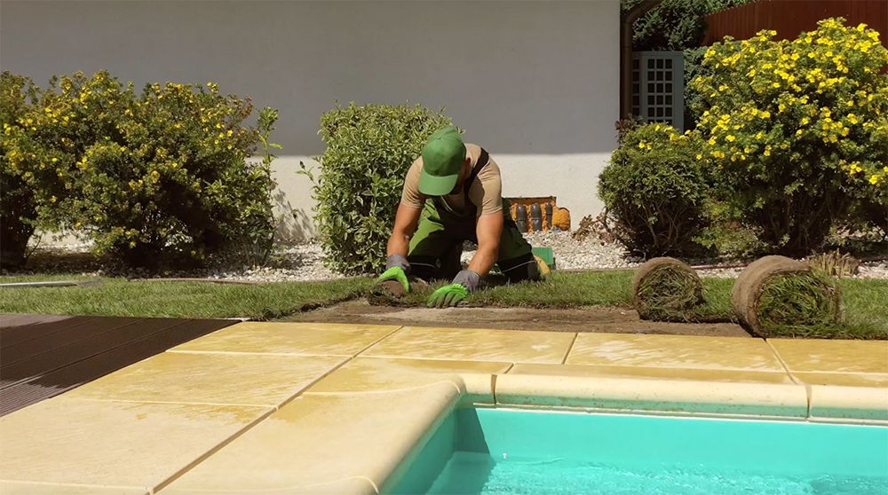 PRATO + IMPIANTO + AIUOLA + SIEPE A PARTIRE DA 250 €