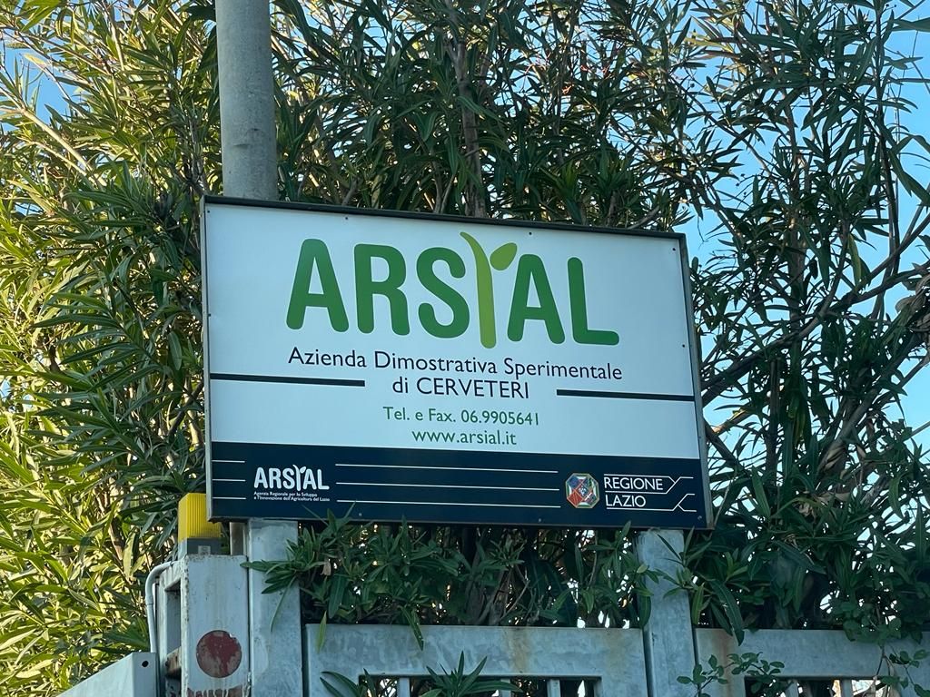 Ristrutturazione di un’antica serra ad ombraio presso il Vivaio Sperimentale Arsial
